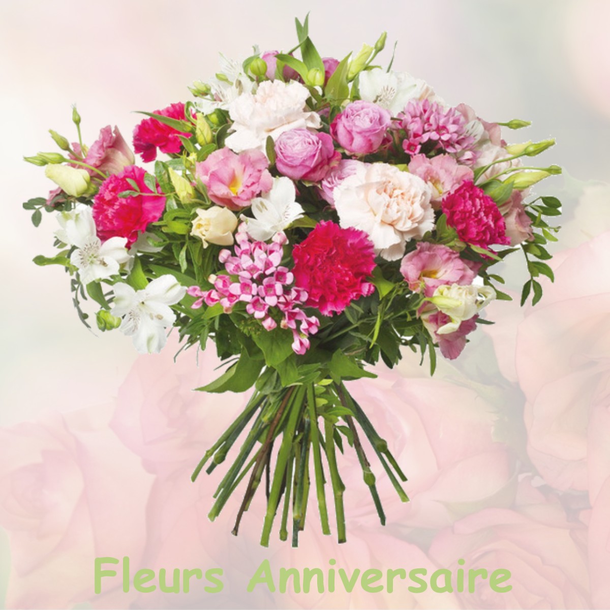 fleurs anniversaire ASNOIS